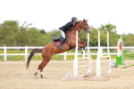 SBM_001821