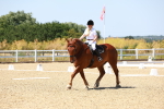 SBM_011809