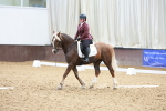 SBM_005951