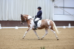 SBM_018896