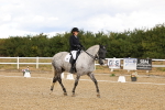 SBM_004604