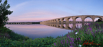 Railroad Bridge Sunrise Panoramic