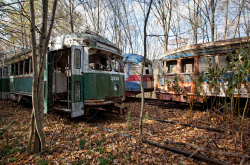 Trolley Graveyard | Overgrown