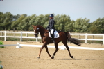 SBM_004204