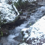 Stream-slow-1-1331
