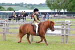 SBM_08508