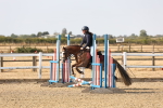 SBM_000233