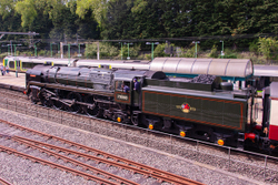 Steeeeeeeeeem! portfolio