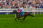 290723-Race 7-Bajan Bandit-1115