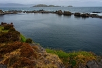 DSC01876