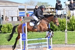 British Novice and 90cm Open portfolio