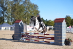 SBM_15980