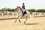 SBM_003393