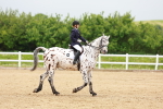 SBM_005914
