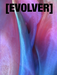 Evolver Prize 2011 portfolio