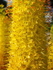 P61804660883