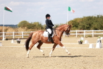 SBM_019248