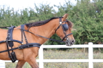 SBM_000868