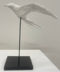 Arctic Tern Two