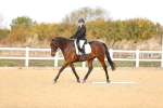 SBM_009556