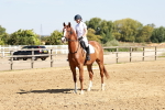 SBM_001345
