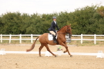 SBM_000891