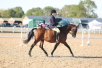 SBM_12335