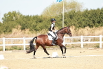 SBM_017483