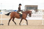 SBM_19101