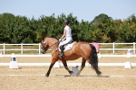 SBM_012601