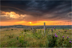 z2766 Sunset Storm overlooking Brading