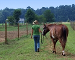Haleys Horse_023