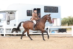 SBM_02960