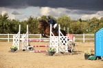 SBM_008773