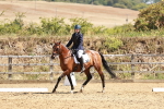 SBM_001735