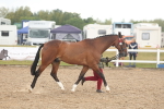 SBM_07888