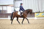 SBM_2010