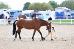 SBM_15306