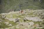 Duddon Long-345