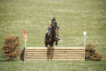 BVHT 140517  IXC -801