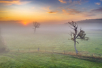z3500 Misty Sunrise over Ashey