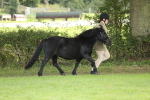 SBM_62729