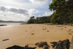 Ards Friary beach