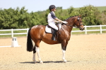 SBM_008583