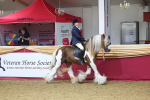 SBM_24516