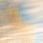 UPON REFLECTION #2 - LONG POINT
