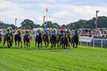 210826-Race 4-Bacio-6177