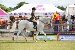 SBM_13195