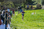 The Finish-456