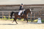 SBM_009884